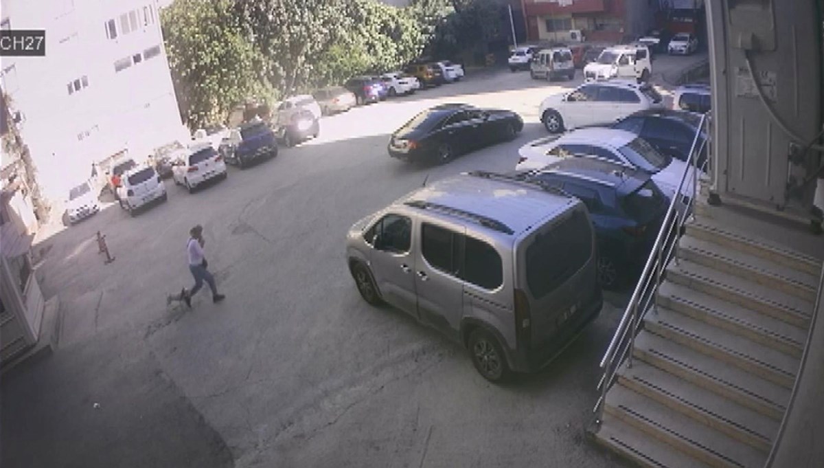 İstanbul'da süs köpeğini çalan kadın kamerada İstanbul'da süs köpeğini çalan kadın kamerada