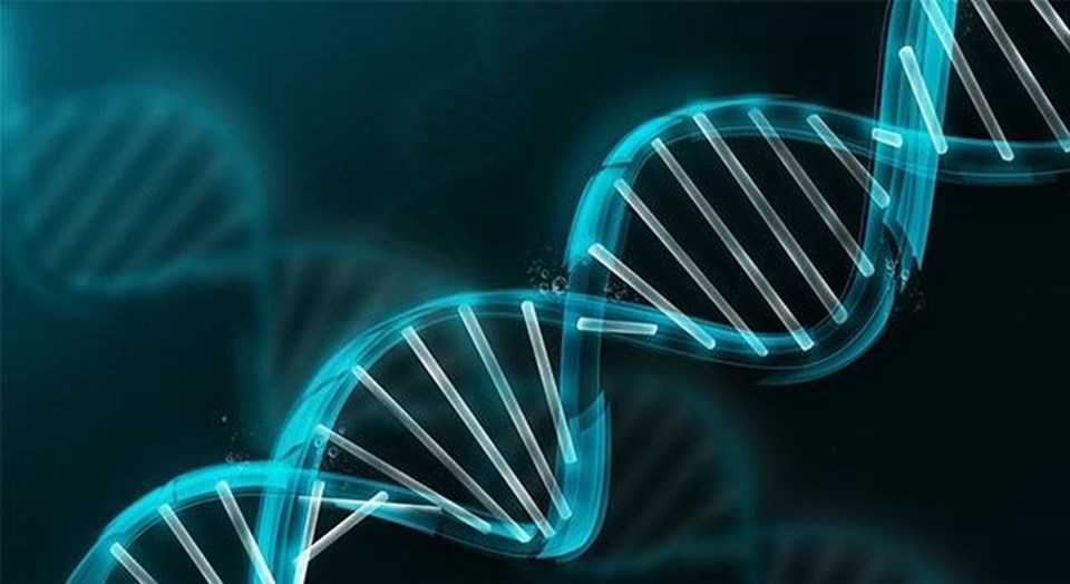 ‘Türkiye genom projesiyle kansere darbe vuracak’ - 3