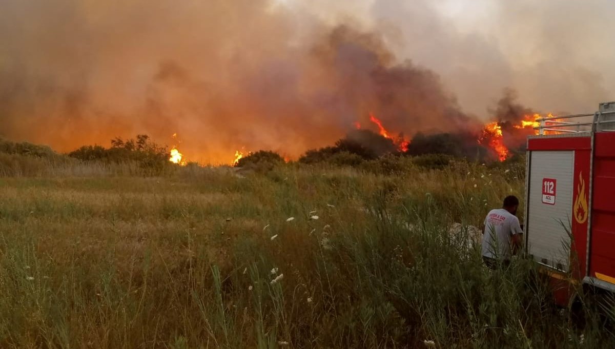 Antalya'da zeytinlik ve sazlık alanda yangın