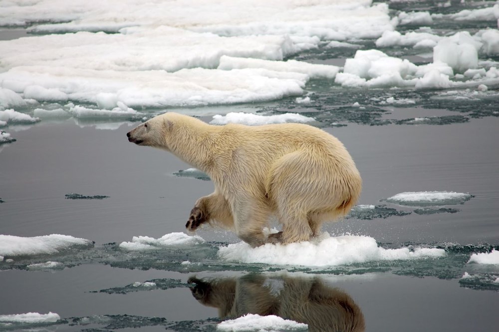 2100’e kadar Dünya üzerindeki buzulların yüzde 70’i yok olabilir: Milyarca insan tehlikede - 5