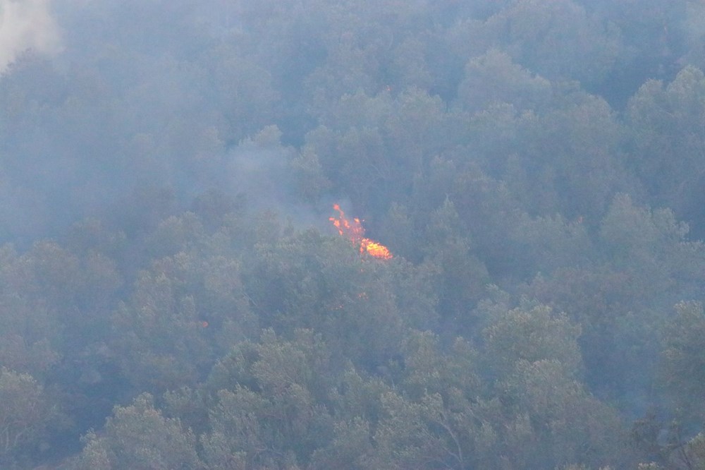 Çanakkale'deki orman yangını sürüyor | Boğaz'da gemi trafiği tek yönlü durduruldu - 13