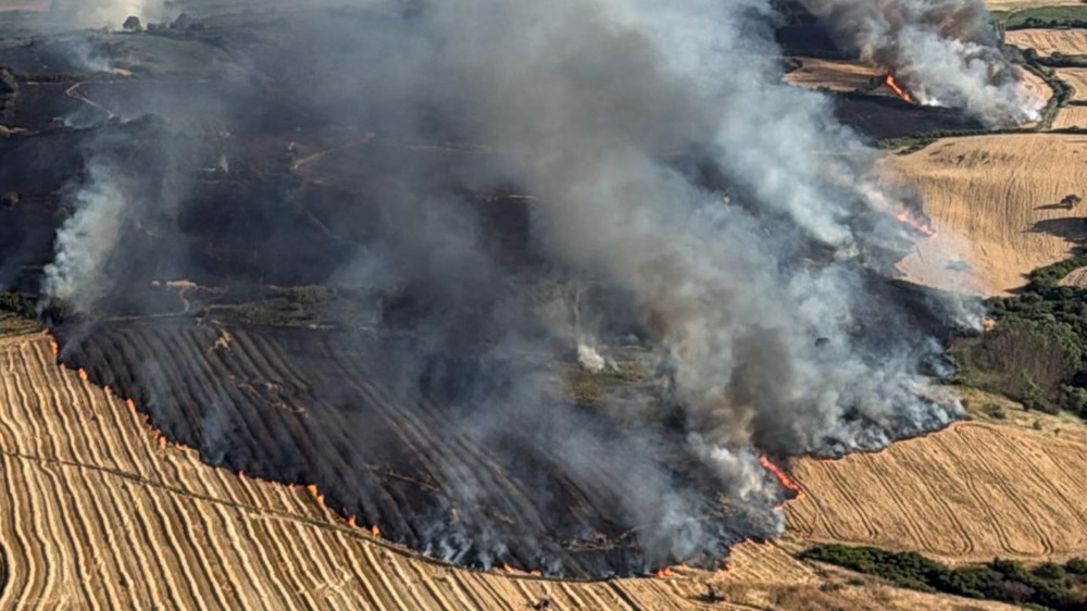 Yedi şehirde orman yangını: Sakarya'daki yangın büyüdü, Bilecik'e sıçradı - 19