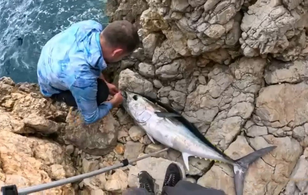 Saros’ta Dev Mücadele: 30 Kiloluk Balıkçı Zaferi! 73 Yvn76sVwcUSA1yuUjXAQCQ