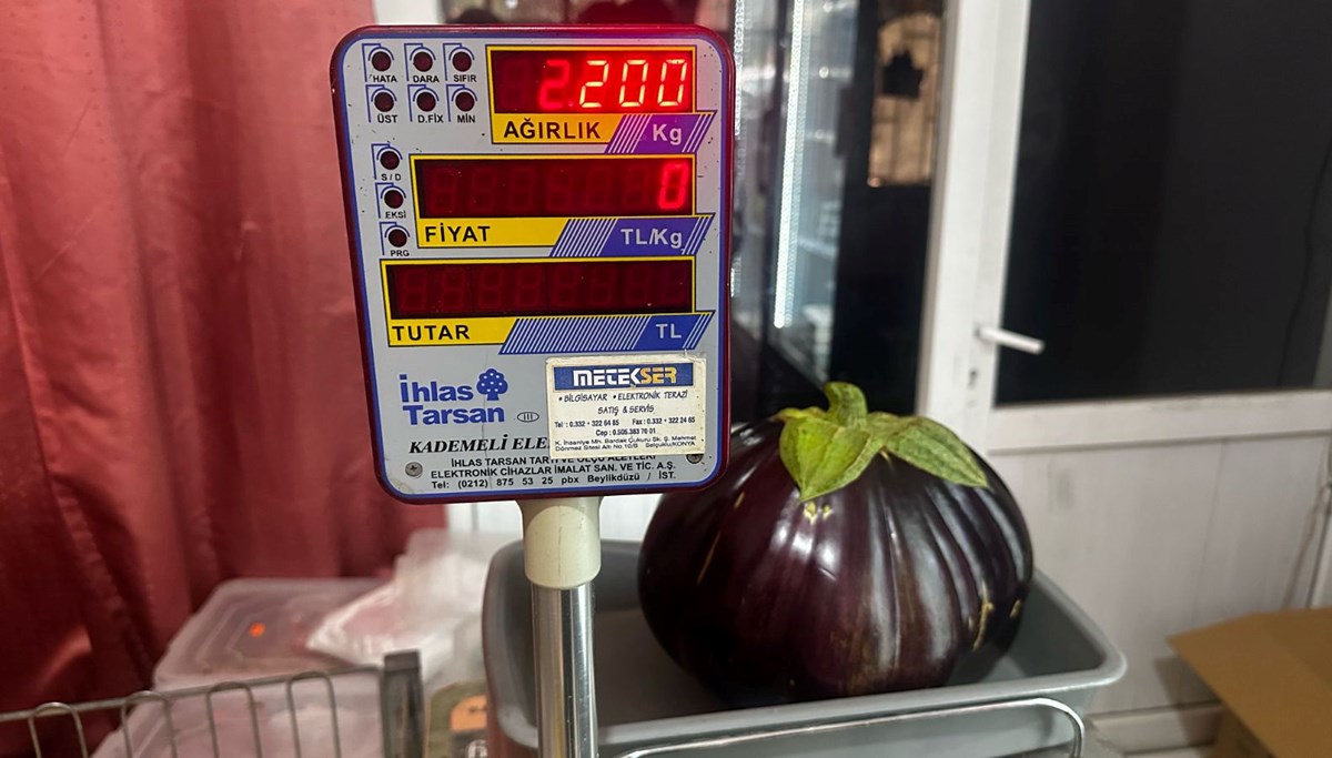 2 kilo 200 gramlık patlıcan görenleri şaşırttı! Hobi olarak ektiği bahçesinde yetişti