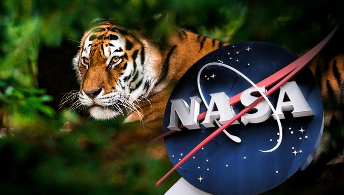 NASA Dünya'ya indi: Nesli tehlike altındaki hayvanları izliyor