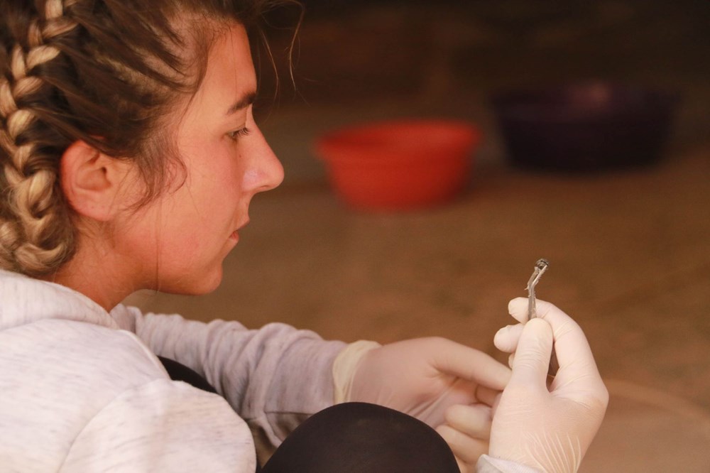 Balatlar Kazısı’nda, Zeugma'dakilere benzer mozaikler bulundu - 10