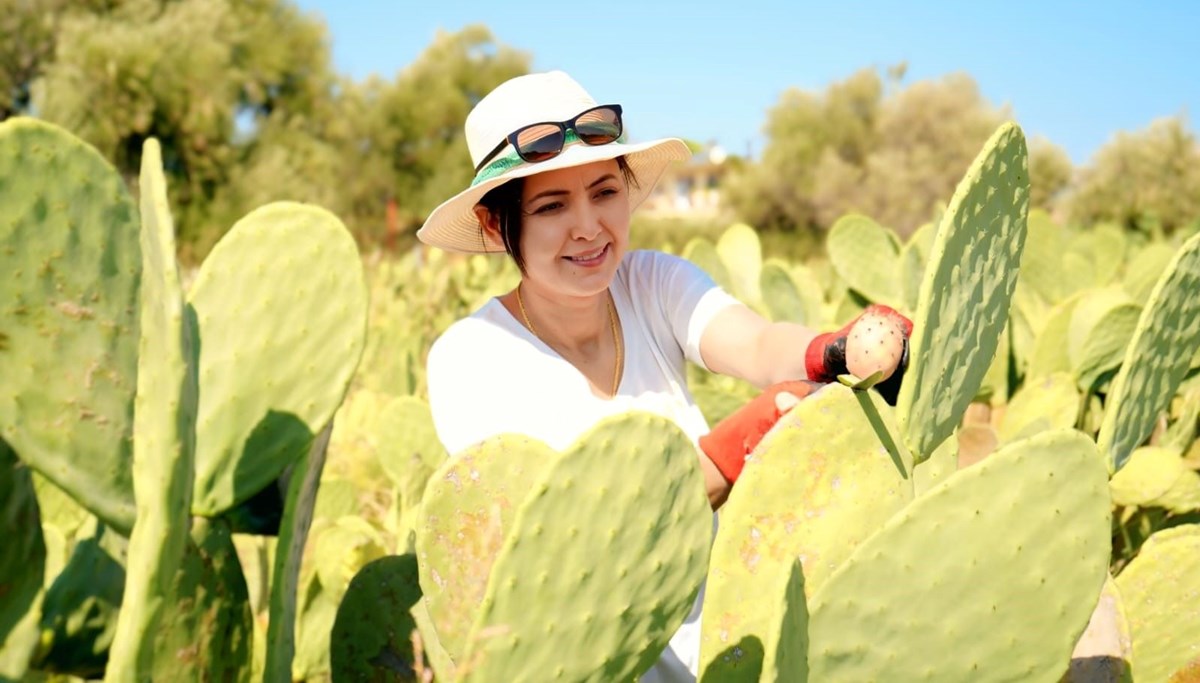 Türkiye'nin ilk tescilli dikenli incir bahçesini kurdu
