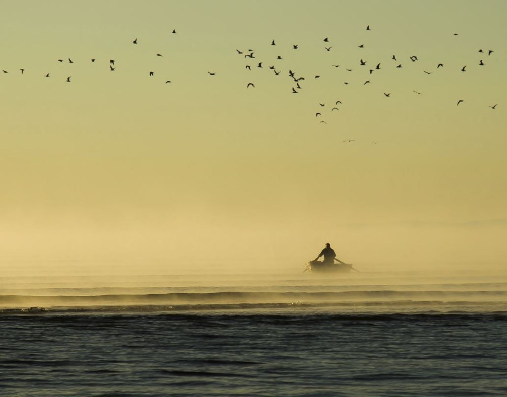Türkiye'nin Milli Parkları (Türkiye'deki milli parkların listesi ve isimleri) - 77