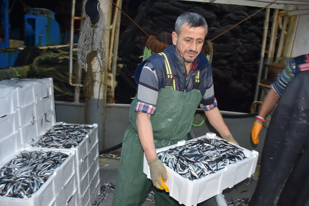 Balıkçılardan hamsi avının serbest olduğu İğneada'ya akın - 6
