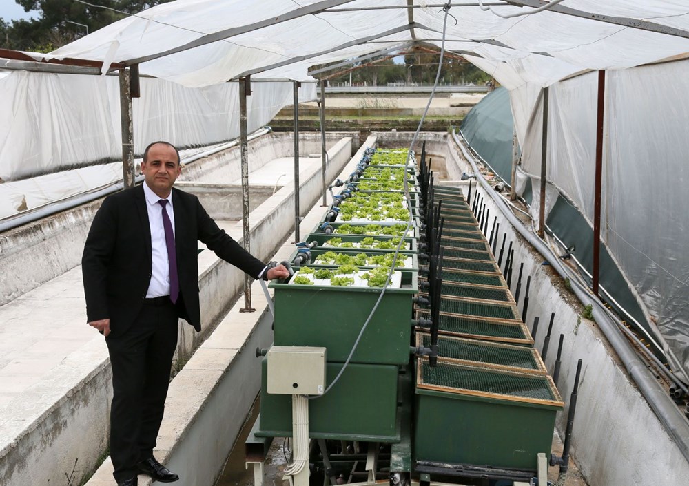 Aynı suda hem balık hem sebze üretiliyor - 2