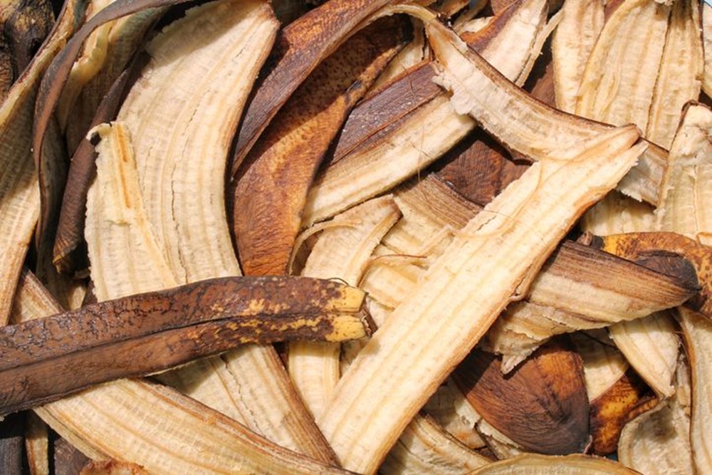 Muz Kabukları Cilt Kurtarıcı mı? Viral Hileye Bir Bakış 72 Z2mccUtrWEuFzMyjeyhJmw