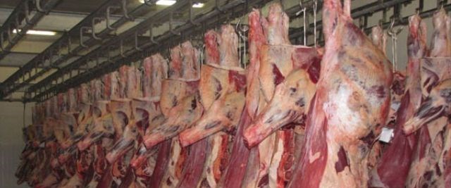 Karkas et yerine kesimlik hayvan ithal edilecek NTV