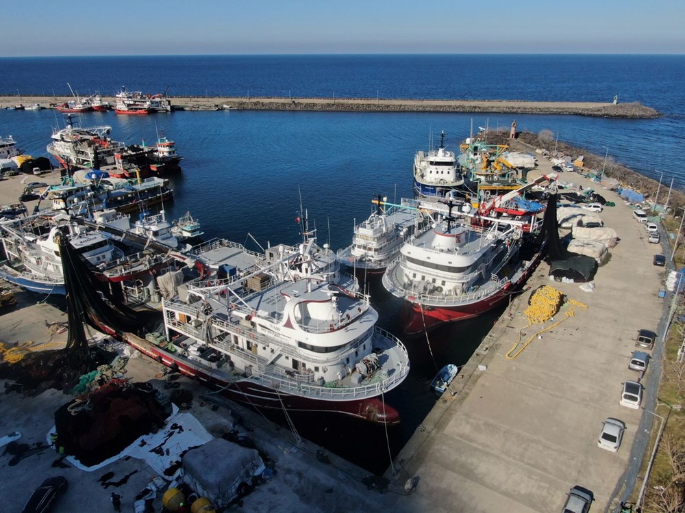 Hamsi Alarmı: Denizler Boş, Tekneler Limanda! 77 Z3gid7JuWUOF62dDB8o VA