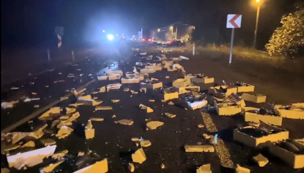 Bartın'da tonlarca palamut yollara döküldü