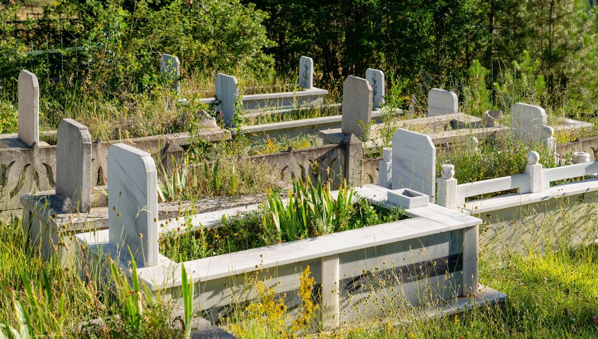 Tapu dolandırıcılığı soruşturması