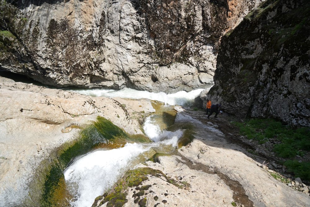 "Ovaya bakan adam" olarak biliniyor: Ziyaretçilerin ilgisini çekiyor 78 Z5uvZOJ2PkG35Geynh7hdQ