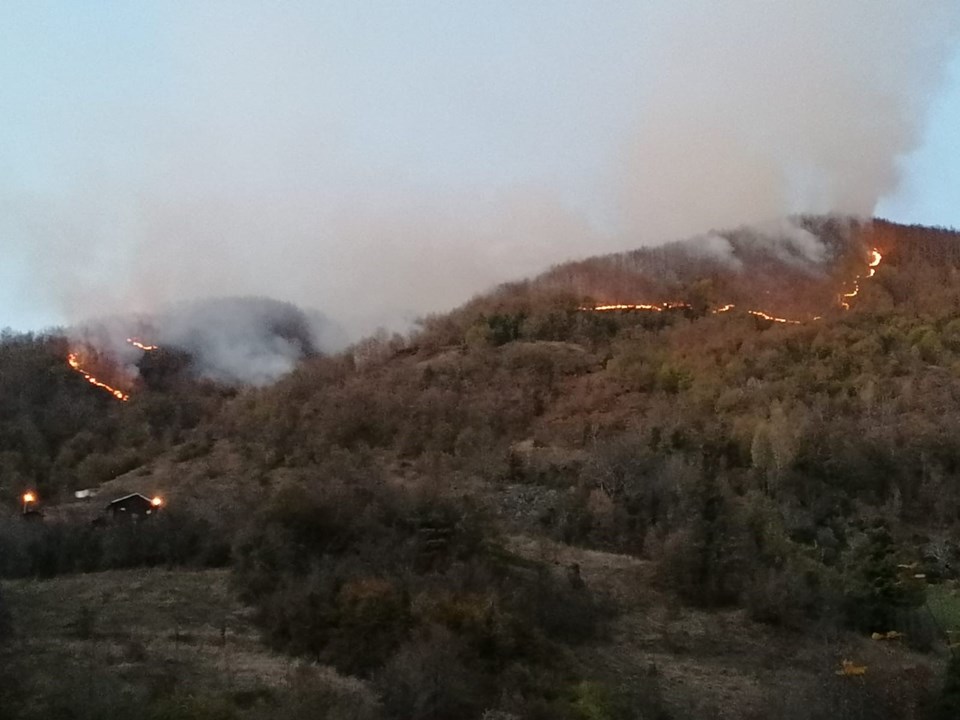 Kastamonu'da orman yangını - 1