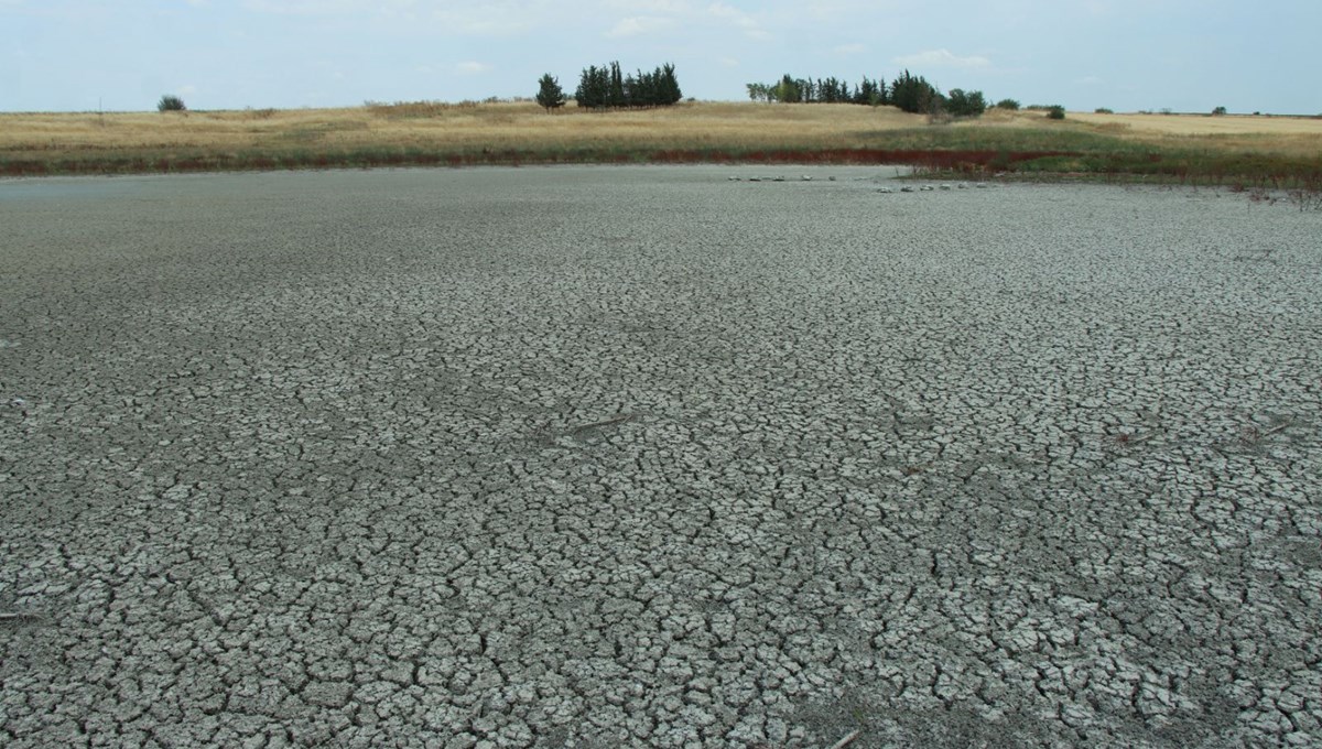 Sular çekildi: Balıklar yaşam mücadelesi veriyor