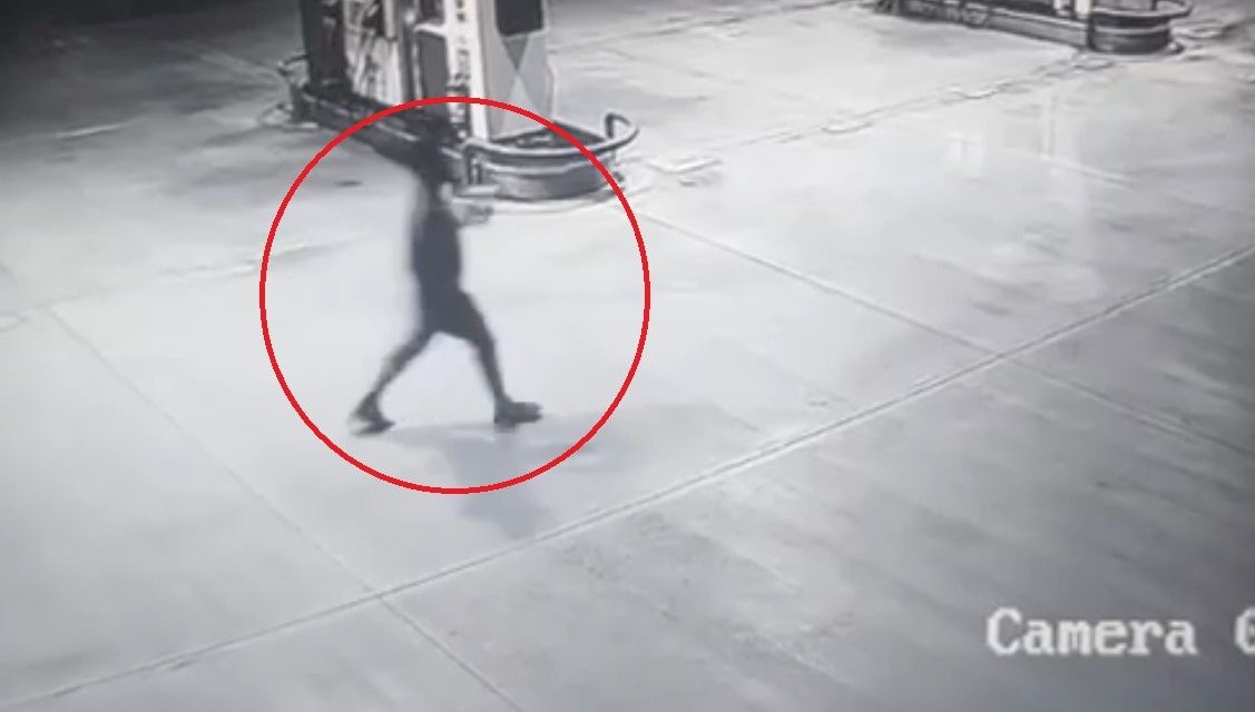 Orman yakmak için benzin aldılar