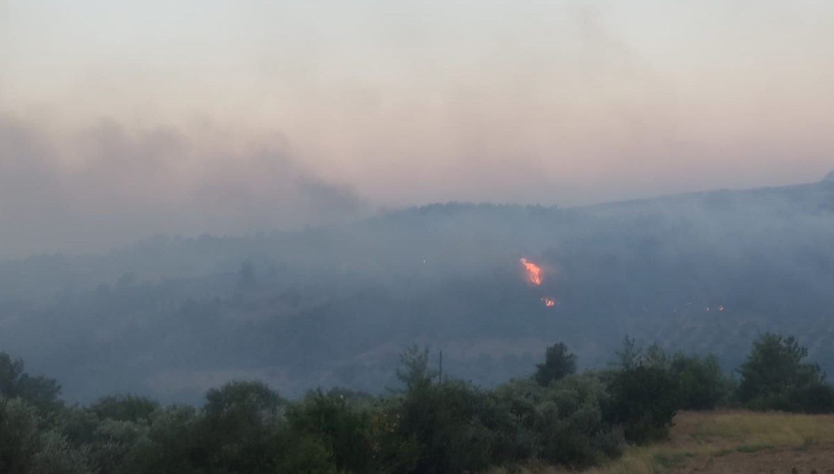 Adana Kozan'da orman yangını