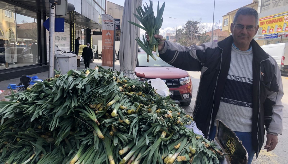 Şifa kaynağı ot kilosu 100 liradan pazara çıktı