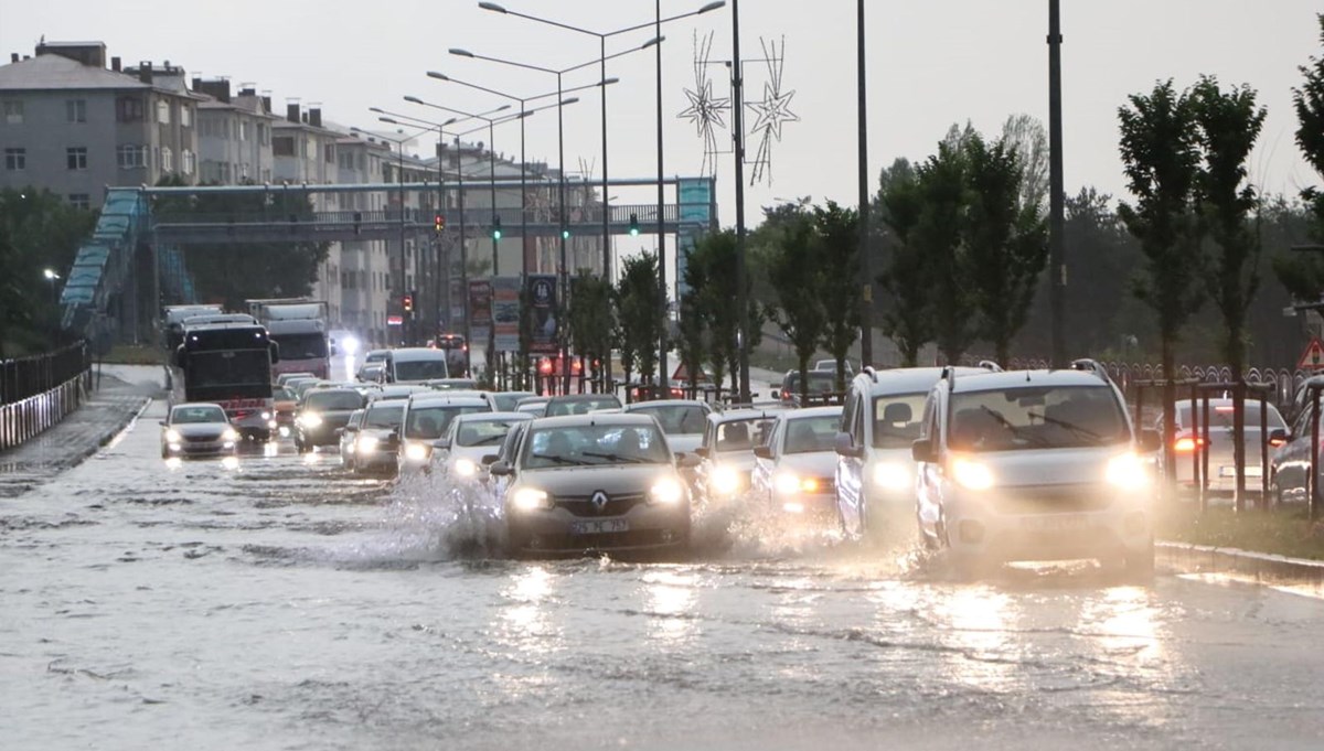  Erzurum Bataklıkları Sulak Alanı'na dikkat!