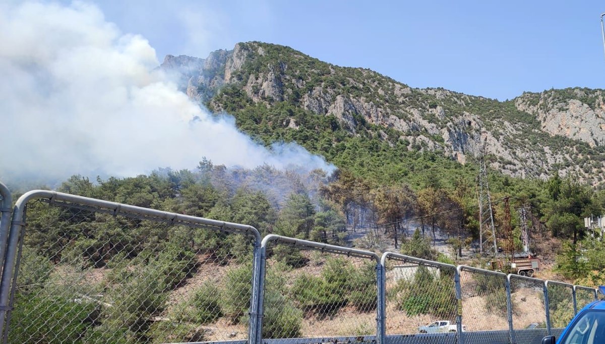 Bilecik'in Bozüyük ilçesinde ormanlık alanda çıkan yangın kontrol altına alındı