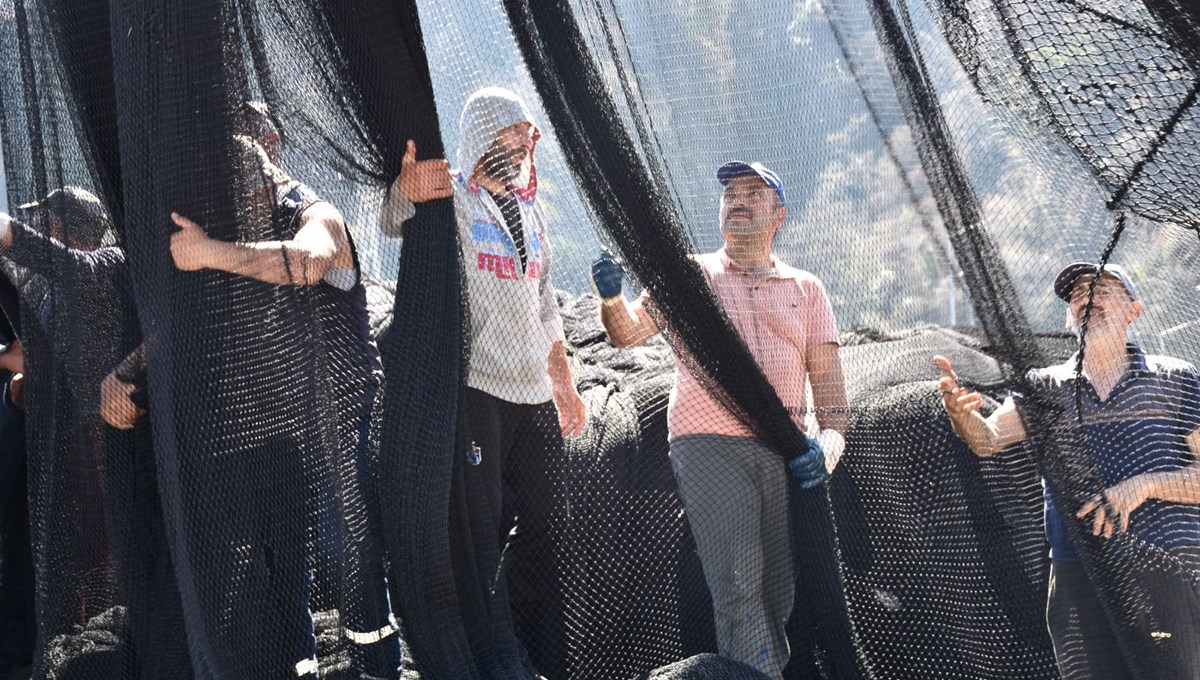 Karadeniz’de hamsi göçtü; ağlar erken toplandı