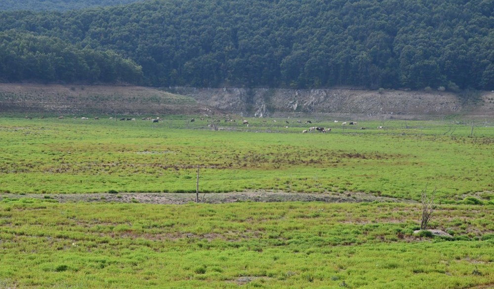 İstanbul barajlarında tehlike çanları | Doluluk seviyesi son yılların en düşük seviyesini gördü - 5