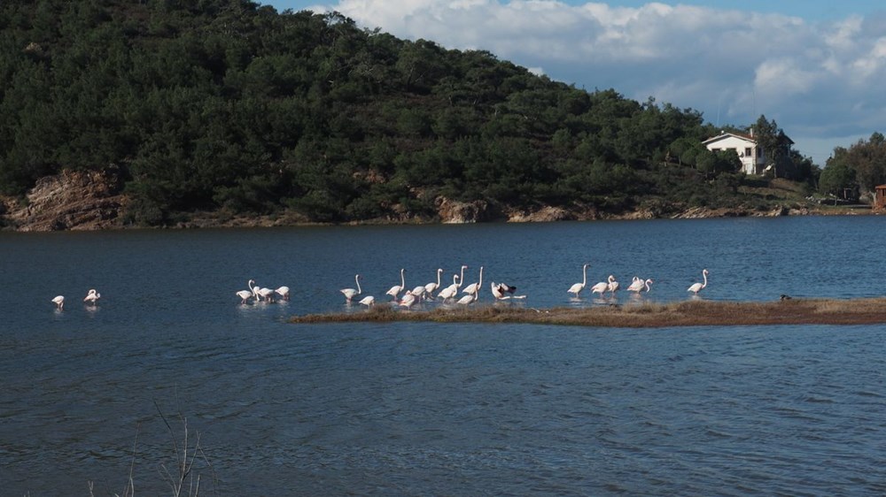 İda Madra Jeoparkı UNESCO yolunda - 12