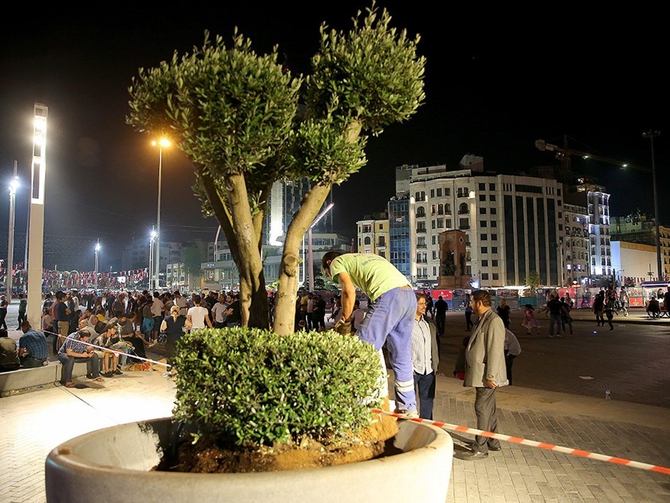 Taksim Meydanı'na yeni ağaçlar - 2