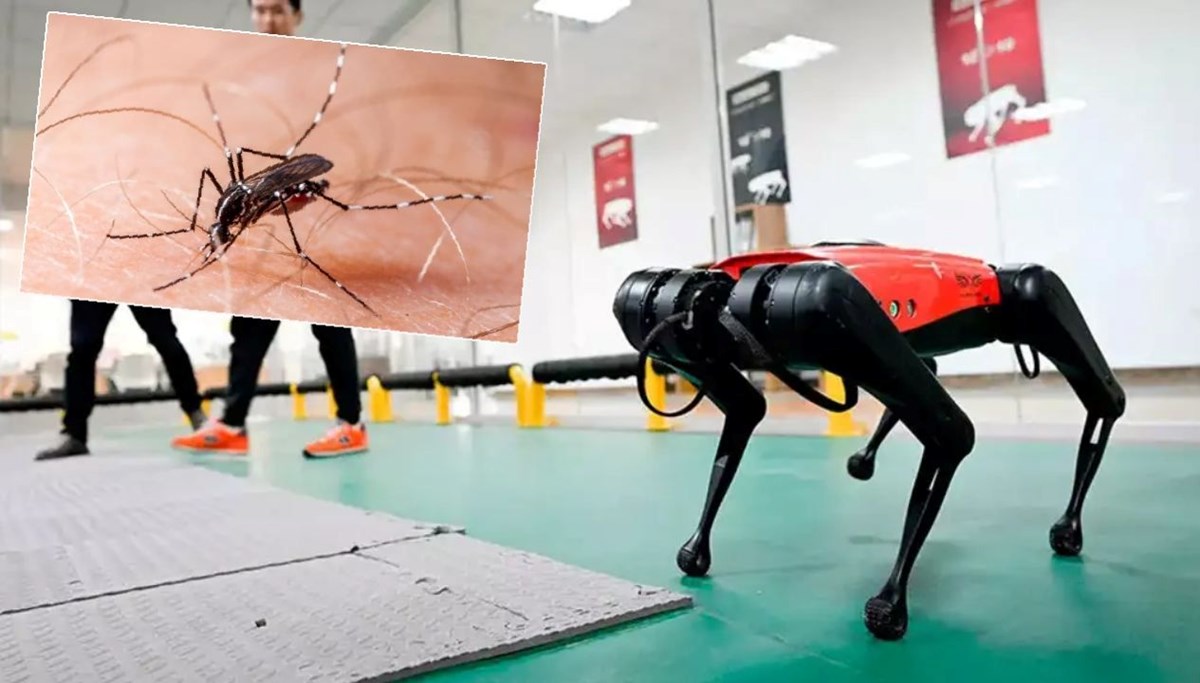 Hong Kong virüsle mücadelede robot köpek kullanacak
