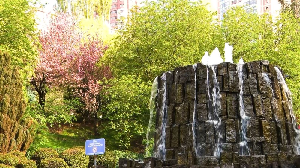 Sakuralar çiçek açtı: Vatandaşlar akın etti 75 ZH9 SWQ 1ku53TTTqvCF8Q