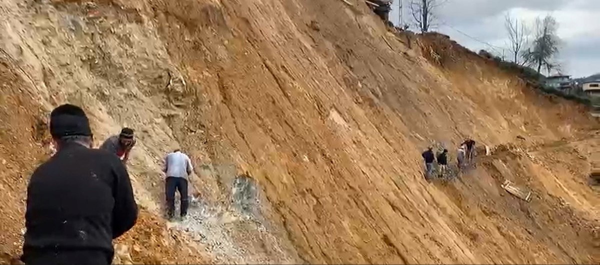 ZHdrwFvLmkSLiHCKFeTzcQ.jpg