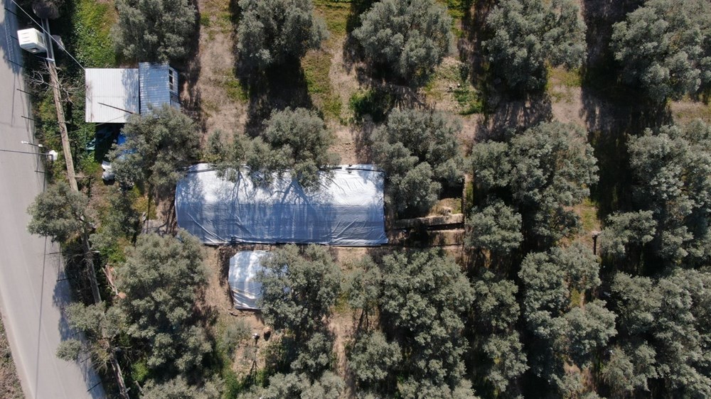 Lahit tarlası için koruma tedbirleri - 2