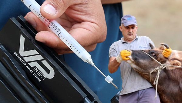 Kurban yakalama timi oluşturuldu