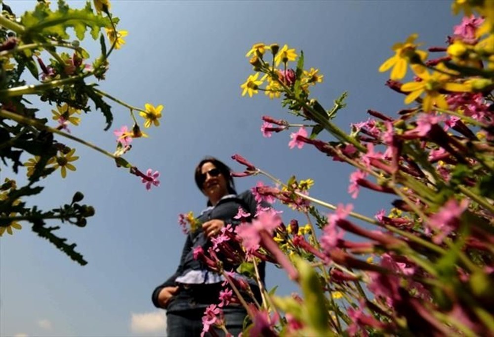 Sıcaklıklar tekrar düşüyor, yağış geri geliyor (5 günlük hava tahmini) - 10