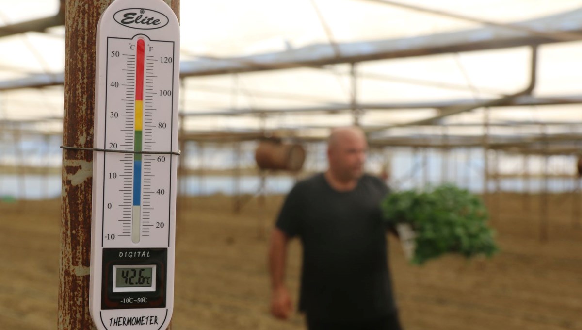 Kavurucu sıcağın altında çiftçilerin üretim mesaisi Kavurucu sıcağın altında çiftçilerin üretim mesaisi