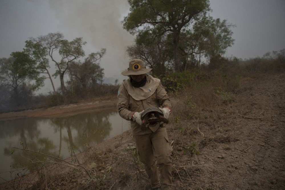 Brezilya’da vahşi yaşamı kurtarmak için yangınla kıyasıya yarış - 15