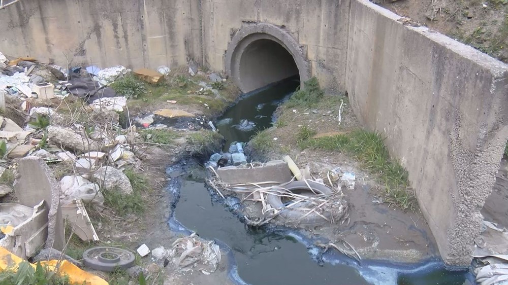 Alibeyköy Barajı'na giden dereden zehir akıyor: Çevredeki hayvanların öldüğü iddiası - 1
