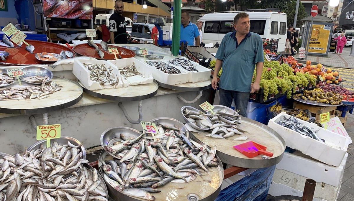 Balık avı başladı: Sezonun ilk istavrit ile hamsileri 100 liradan satışta