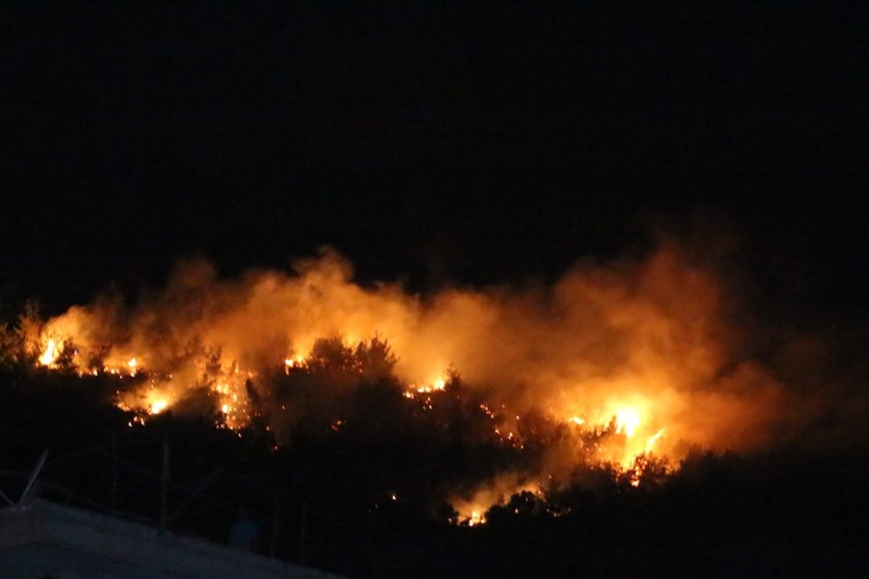 Kozan'da 24 saat içinde ikinci orman yangını - 1