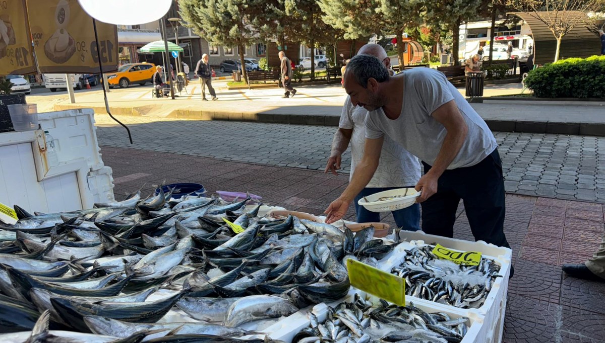 Hamsi tezgaha 200 TL’den girdi Hamsi tezgaha 200 TL’den girdi
