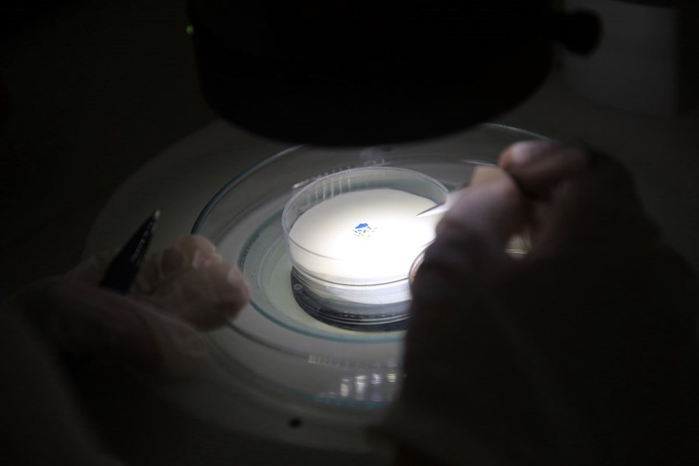 Müsilaj sağlık için tehdit mi? Bilim kurulu üyesinden açıklama - 7