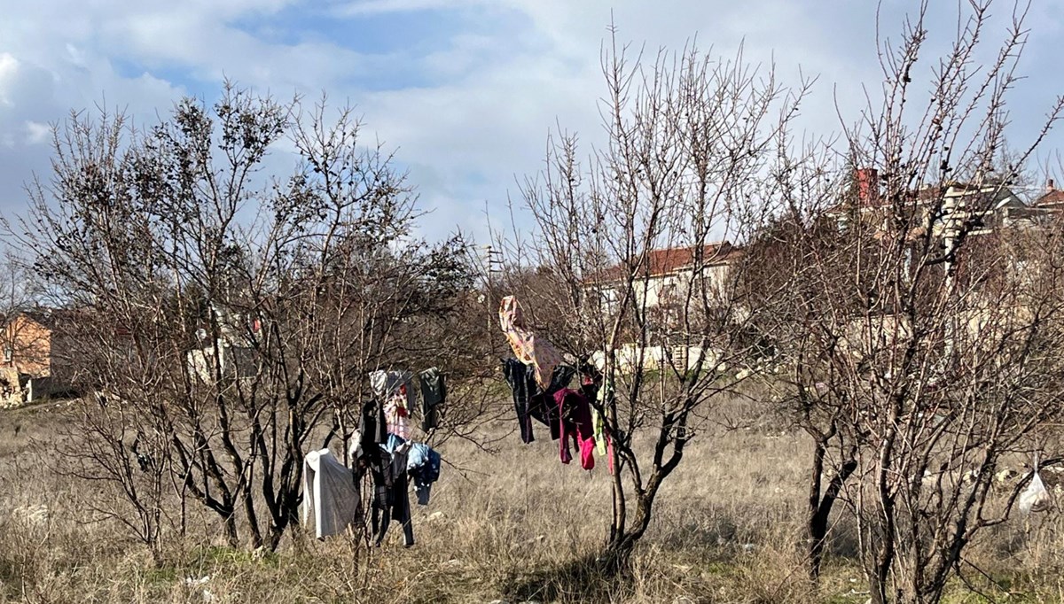 Ağaca asılı elbiseler görenleri hayrete düşürdü Ağaca asılı elbiseler görenleri hayrete düşürdü