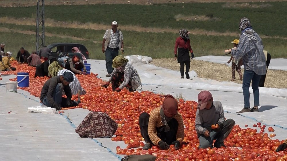Mevsimlik işçi Selma ve İlknur'un sınav başarısı - 3