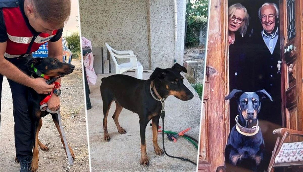 Korhan Berzeg kaybolalı 100 gün oldu (İhbarlar kesildi, umutlar tükendi) Korhan Berzeg kaybolalı 100 gün oldu (İhbarlar kesildi, umutlar tükendi)
