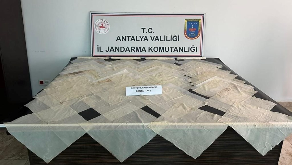 Antalya'da piyasa değeri 2 milyon TL olan bonzai ele geçirildi