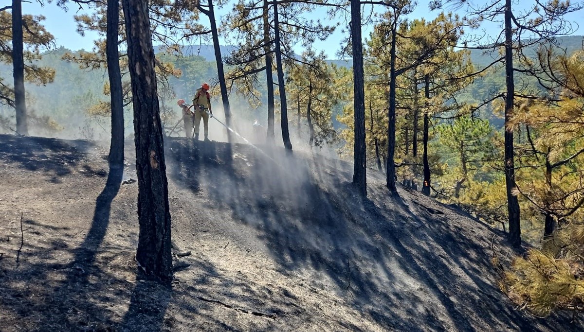 Denizli’deki orman yangınında 165 hektar alan kül olmaktan kurtarıldı