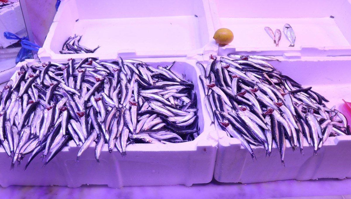 Balığın kulağına kar suyu kaçtı, tezgahlar bollaştı
